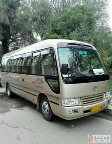 全方位出行解决方案 从自驾租车到专业包车服务